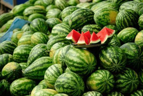 最会吃瓜的网红,网红吃瓜达人带你领略娱乐圈幕后风云 第2张 最会吃瓜的网红,网红吃瓜达人带你领略娱乐圈幕后风云 第2张