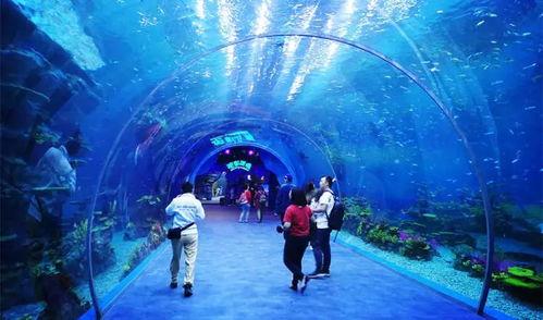 海洋之眼爆料视频大全,视频大全深度解析