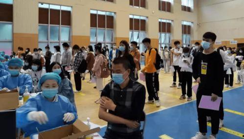 漆树车祸爆料最新消息,事故原因调查及伤亡情况披露 第2张 漆树车祸爆料最新消息,事故原因调查及伤亡情况披露 第2张