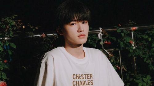 张真源私生爆料最新,娱乐圈背后的惊人真相