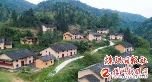 茶陵爆料最新消息,最新动态揭秘,热点事件追踪! 第3张 茶陵爆料最新消息,最新动态揭秘,热点事件追踪! 第3张